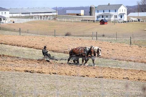 Amish Farming and Gardening Secrets ⋆ Big Blog Of Gardening