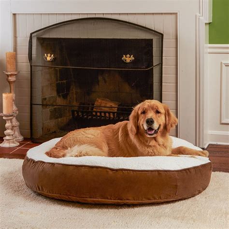 The 30 Best Large Dog Beds For Your Large Breed Dogs