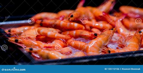 Steamed Shrimp on Ice in Hotel Buffet Line Stock Photo - Image of boiled, meal: 135112156