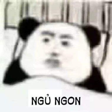 Hài hước bộ meme chúc ngủ ngon độc đáo nhất