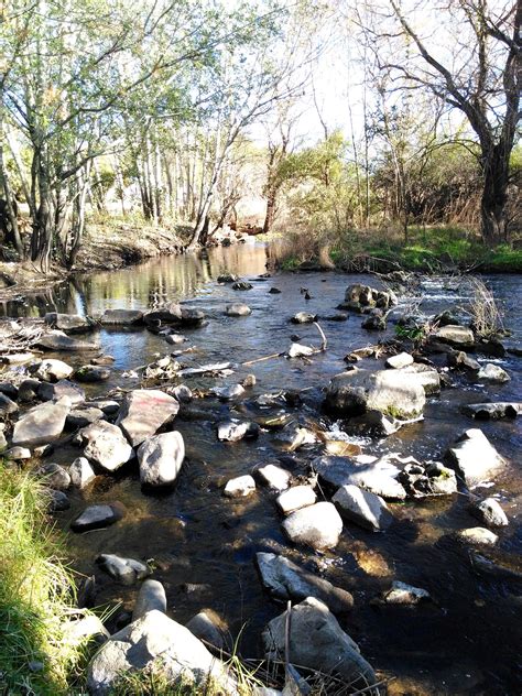 The Mooi River running through the student town of Potchefstroom South ...