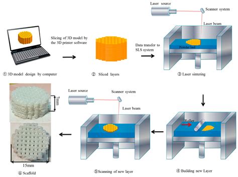 dutina rekonštrukcia flotila selective laser sintering 2019 pdf disciplína vnútri box