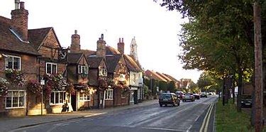 Ripley, Surrey - Wikishire