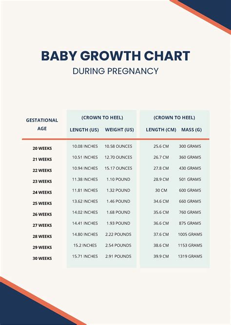 Fetal Growth Chart By Month