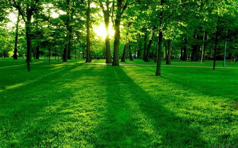 HD Green Landscape Wallpapers - 4k, HD Green Landscape Backgrounds on WallpaperBat