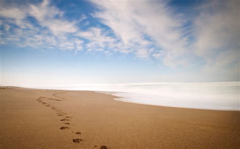 beach, Sand Wallpapers HD / Desktop and Mobile Backgrounds