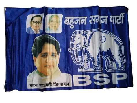 Blue (base Color) Polyester BSP Election Flag, 15x22 Inch (lxw) at Rs ...