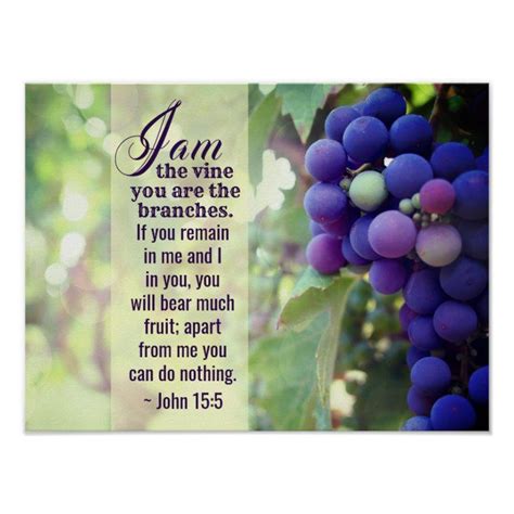 John 15:5 I Am the Vine You are the Branches Bible Poster | Zazzle | John 15 5, Bible verse ...