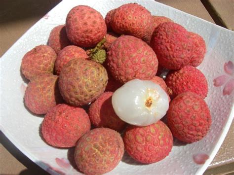 Tuesday's Treasures - It's lychee season in Haiku Maui - all you can eat