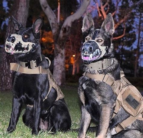 19 Costumes That Prove German Shepherds Always Win At Halloween | Military dogs, Military ...