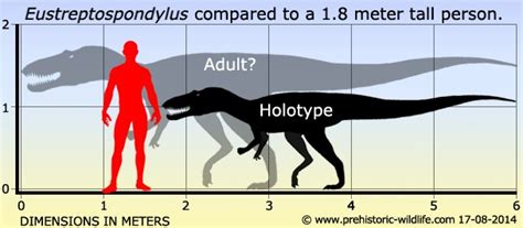 Eustreptospondylus Pictures & Facts - The Dinosaur Database