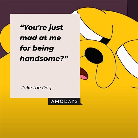 35 Jake the Dog Quotes That All Adventure Time Fans Will Love