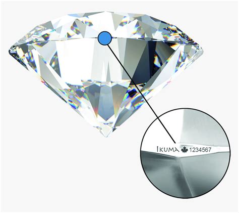 Round Cut Diamond Side View, HD Png Download - kindpng