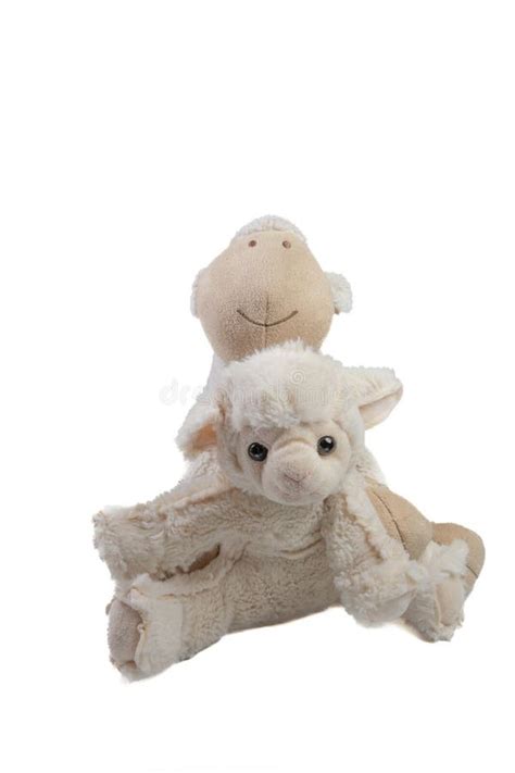 Soft toys sheep stock photo. Image of animal, plush - 238600042