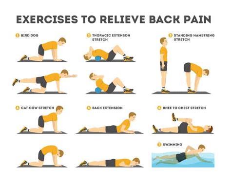 Physiotherapy Exercises for Lower Back Pain | Top 11 Exercises