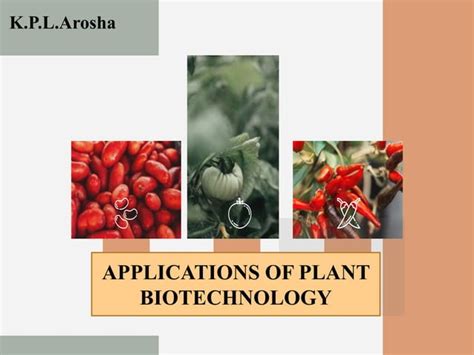 Applications of plant biotechnology