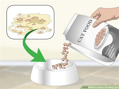 How to Help a Vomiting Cat: 14 Steps (with Pictures) - wikiHow