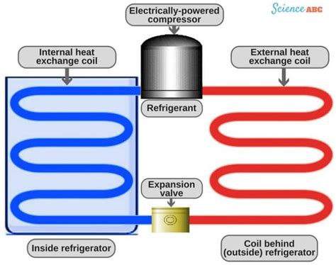 Refrigerator Working Principle: How Does A Refrigerator (Fridge) Work?