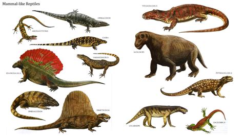 Mammals Before Dinosaurs - Pets Lovers