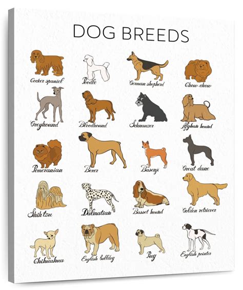 Dog Breeds Guide Chart Wall Art | lupon.gov.ph