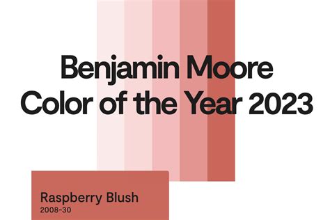 The Benjamin Moore® Color Trends 2023 Palette | The Color Store