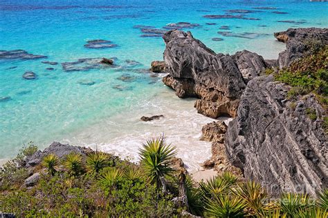 Bermuda Coral Reef Sea and Outcrops Photograph by Charline Xia - Fine ...