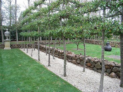 Best fruit trees garden layout raised beds ideas | Garden layout, Fruit ...