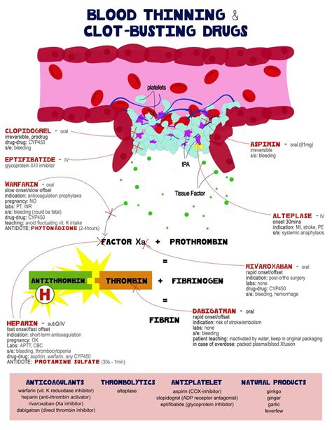 Alteplase Mechanism of Action