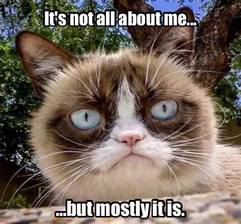 Grumpy Cat: It's not all about me...but mostly it is.