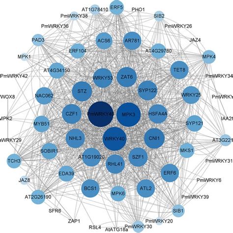 Prediction of the protein–protein interaction (PPI) network between... | Download Scientific Diagram