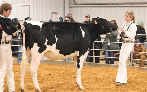 PHOTOS: 2021 Erath County Jr. Livestock Show – Dairy Cattle – The Flash Today || Erath County