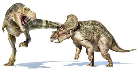 Triceratops vs T-Rex: Who Would Win in a Fight? - A-Z Animals