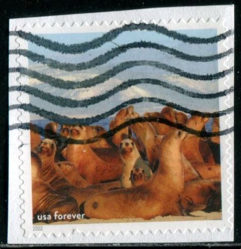 5713m US (60c) National Marine Sanctuaries - Sea Lions SA, used ...