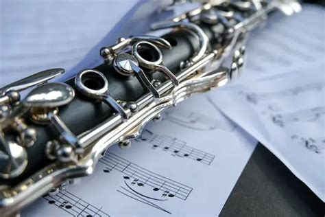 What is the difference between clarinet and saxophone? - Difference Digest