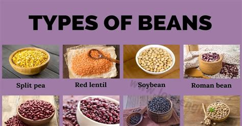 Types of Beans: 21 Different Types of Beans that You Should Try - Love ...