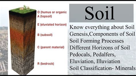 PLS: Geography (L49): Soil Genesis, Pedocal, Pedalfer, Soil Strata, Eluviation, Illuviation ...