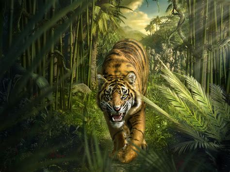 Download wallpaper for 2560x1080 resolution | Tiger Jungle Bamboo HD ...