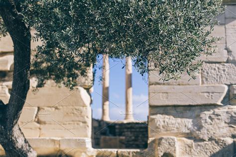 Olive tree and ruins of Athens | High-Quality Architecture Stock Photos ...