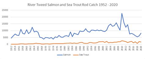 River Tweed Salmon Fishing - SALMON FISHING IN SCOTLAND