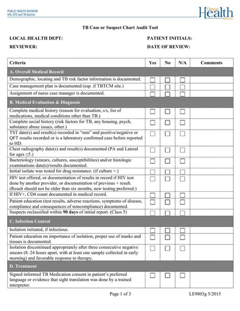 Printable Medical Chart Audit Template