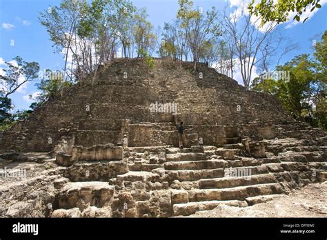 Guatemala, Peten, El Mirador, La Danta Temple Stock Photo: 61187210 - Alamy