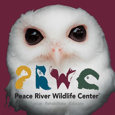 Peace River Wildlife Center - YouTube