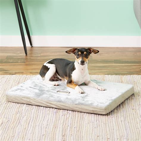 Armarkat Memory Foam Orthopedic Pet Bed, Sage Green/Grey, Small - Chewy.com