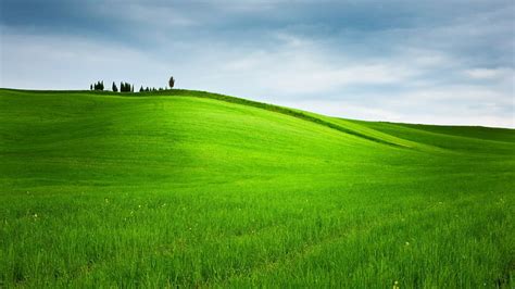 HD wallpaper: small tree in green field digital wallpaper, clouds, horizon | Wallpaper Flare