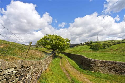 Yorkshire Day (August 1st) | Days Of The Year