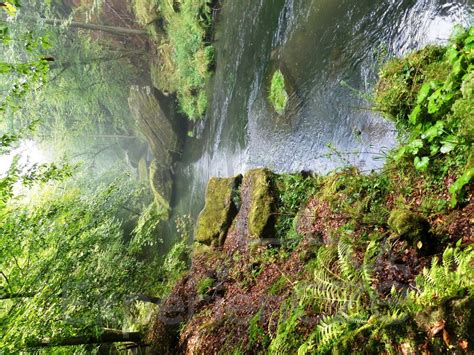 Czech Nature Walk Experience in the Czech Republic