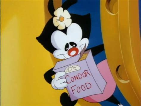 Animaniacs Season 1 Image | Fancaps