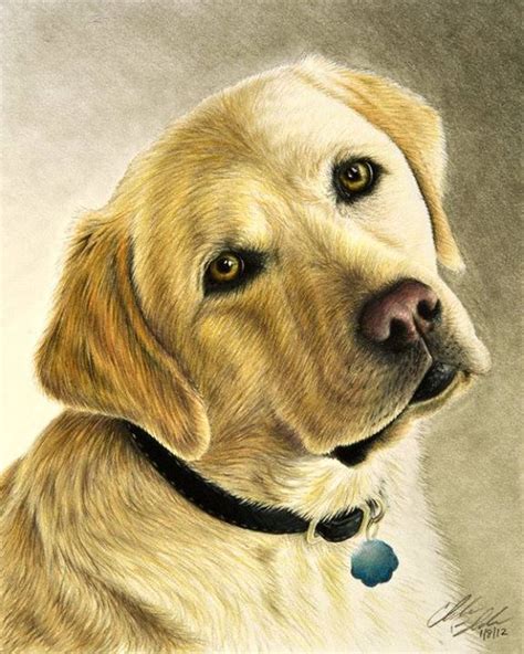 By Artist Charles Black | Dog paintings, Dog art, Pencil drawings of animals