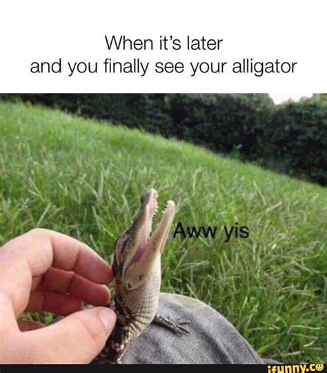 Crocodile Alligator Meme - Funny Memes