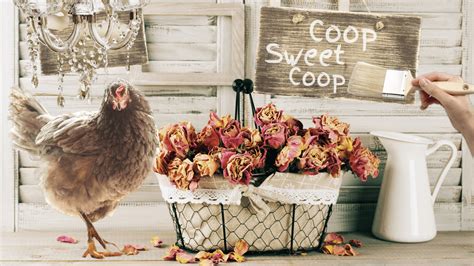 Chicken Coop Decor Ideas – A Coop Doesn’t Have To Be Boring